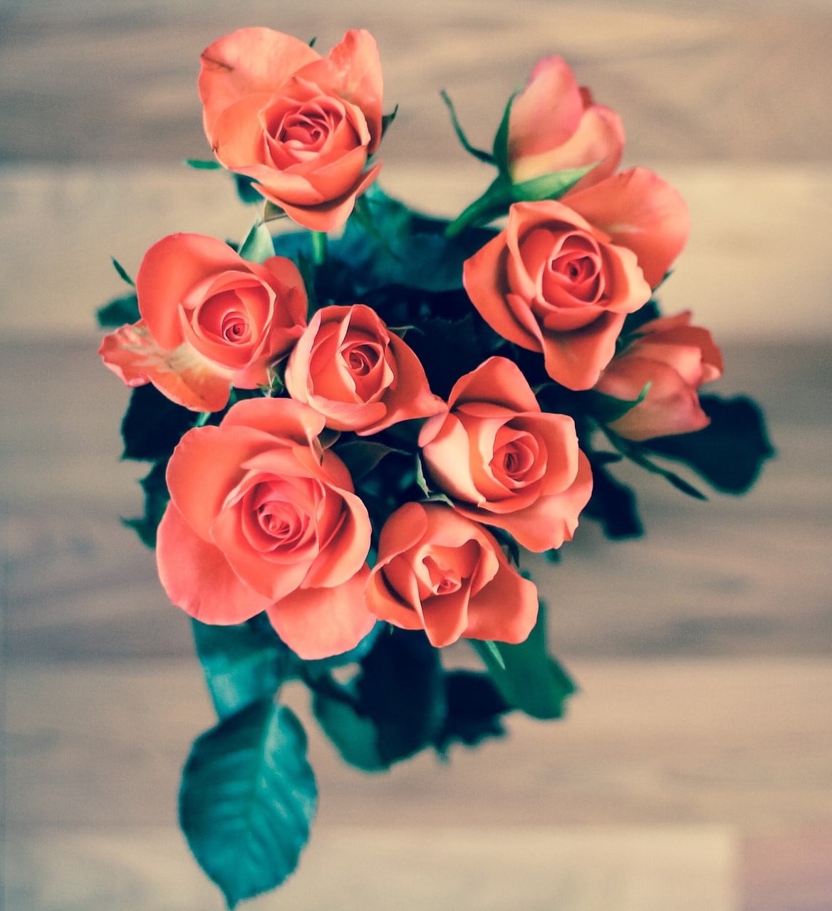 floristeria en barro